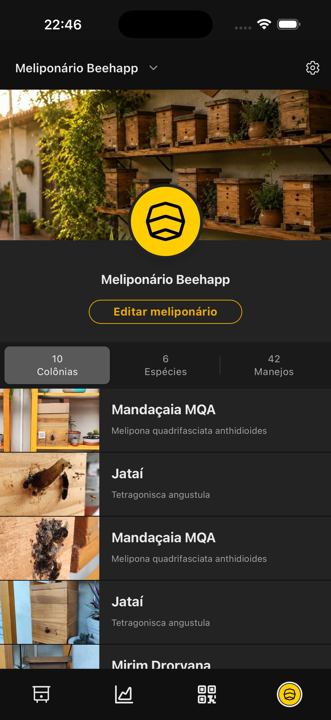 Dashboard do meliponário