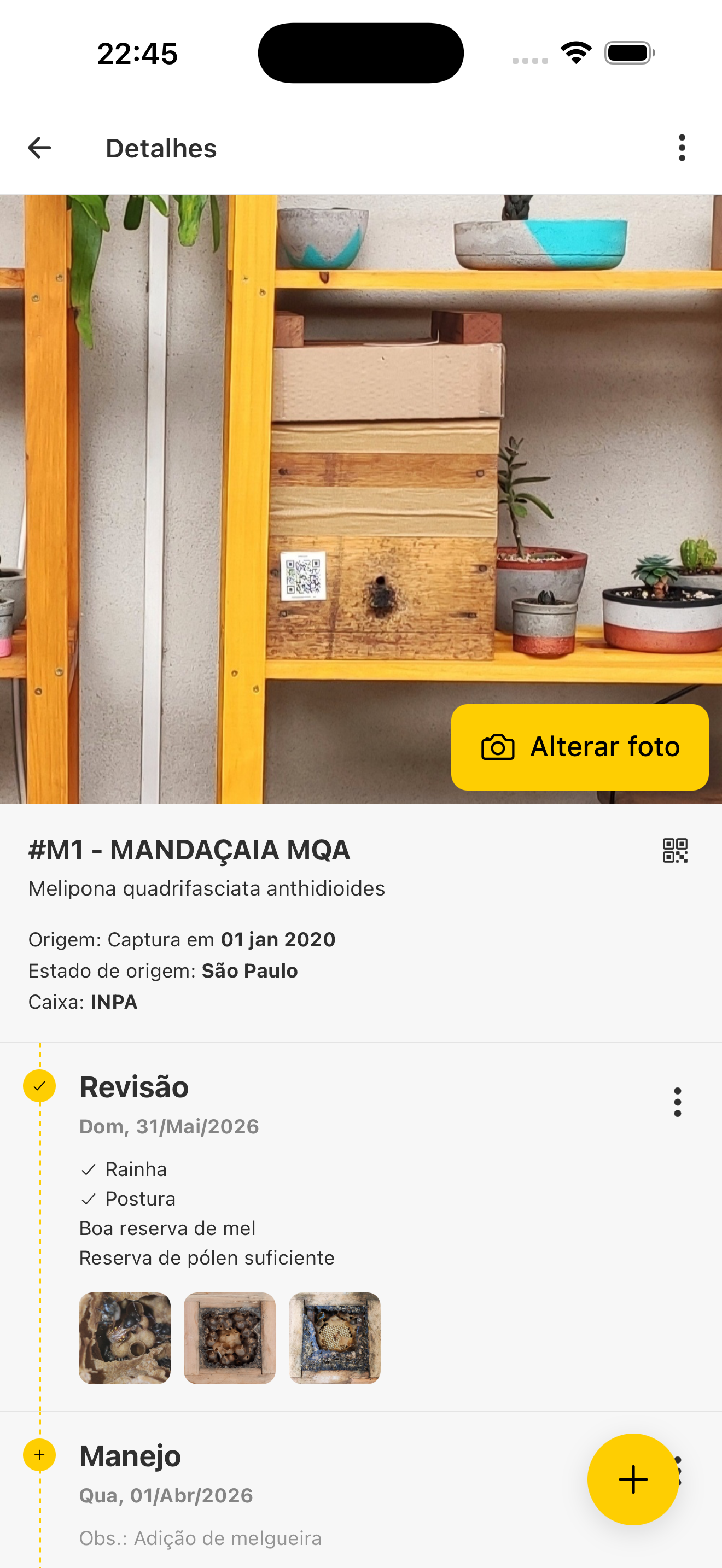 Detalhes da colônia